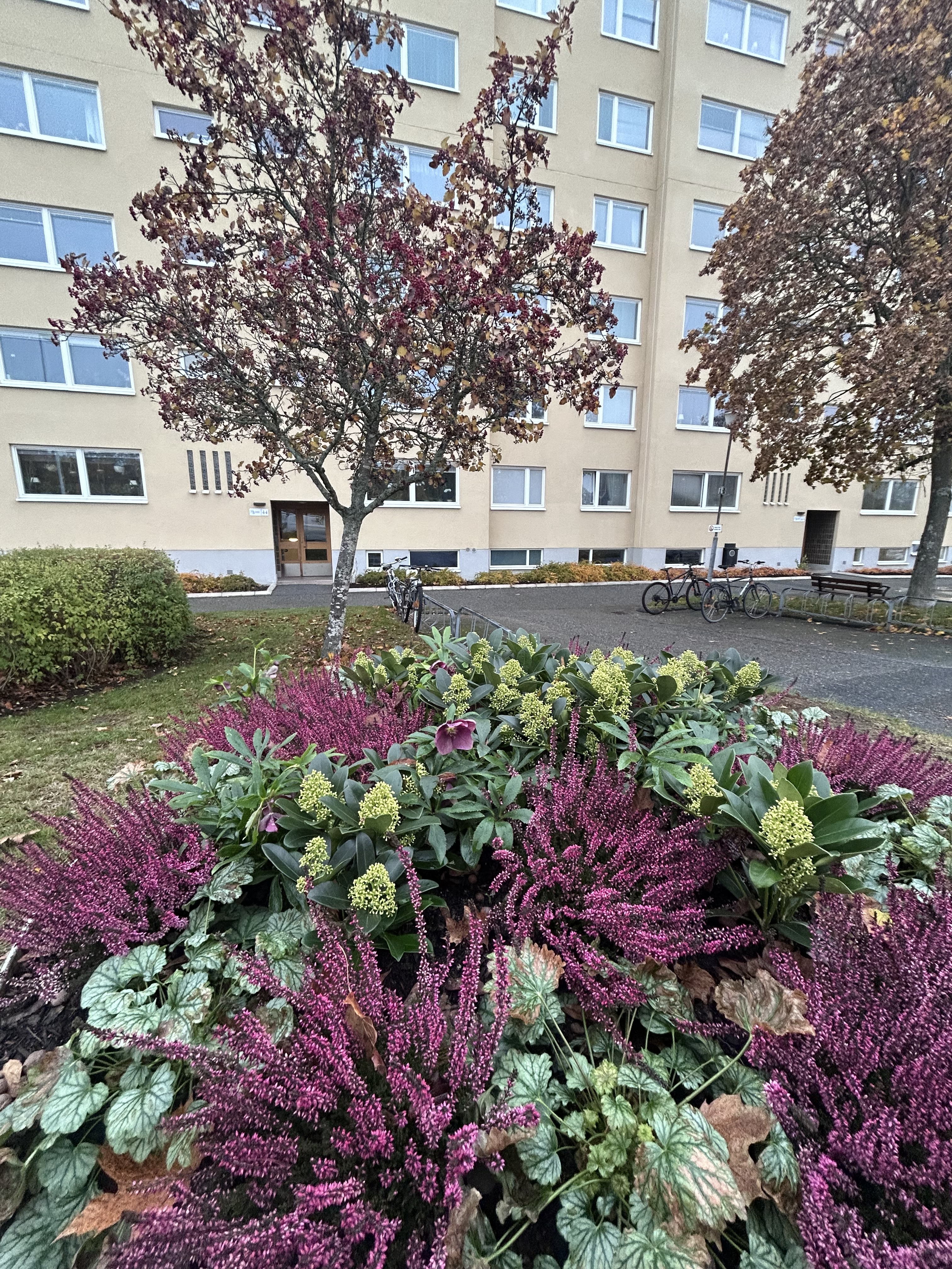 Höstfint i våra bostadsområden! 🍂