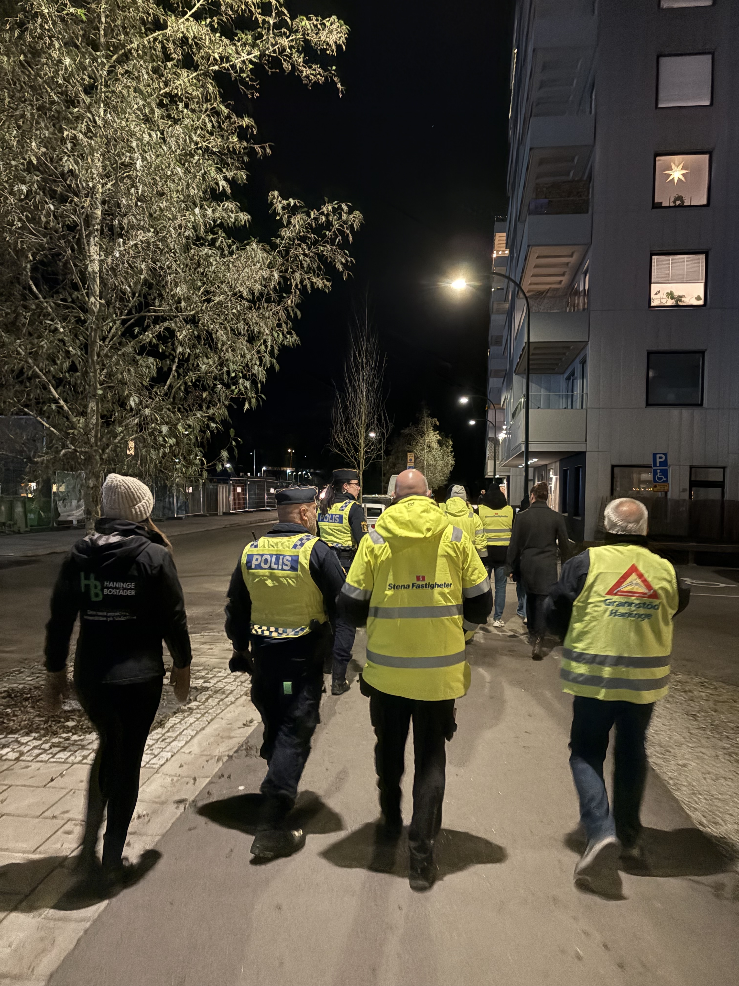 Trygghetsinventering Vega