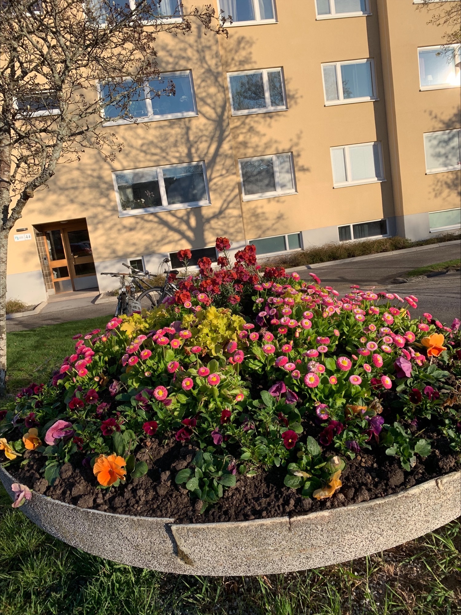 Trädgårdsskötsel - Nu i egen regi!